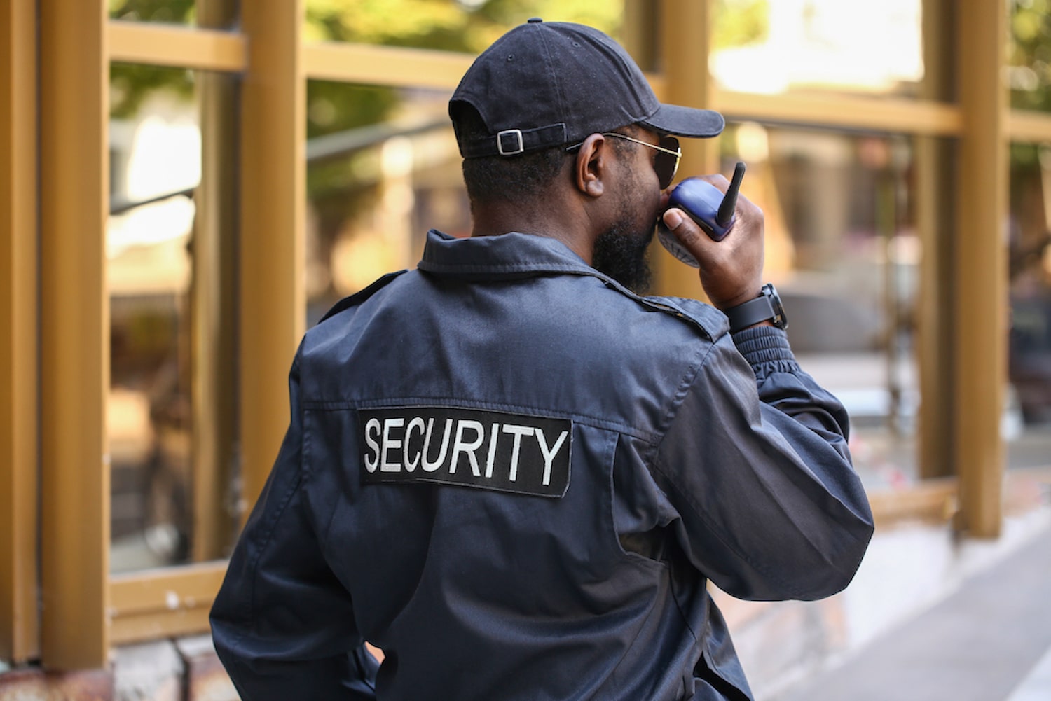 Security Services : Understanding Common Security Threats to ...